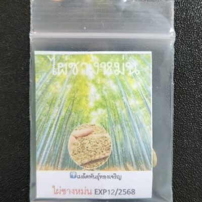 HẠT GIỐNG tre Sáng Môn, tre đa dụng - măng, thân, cảnh quan