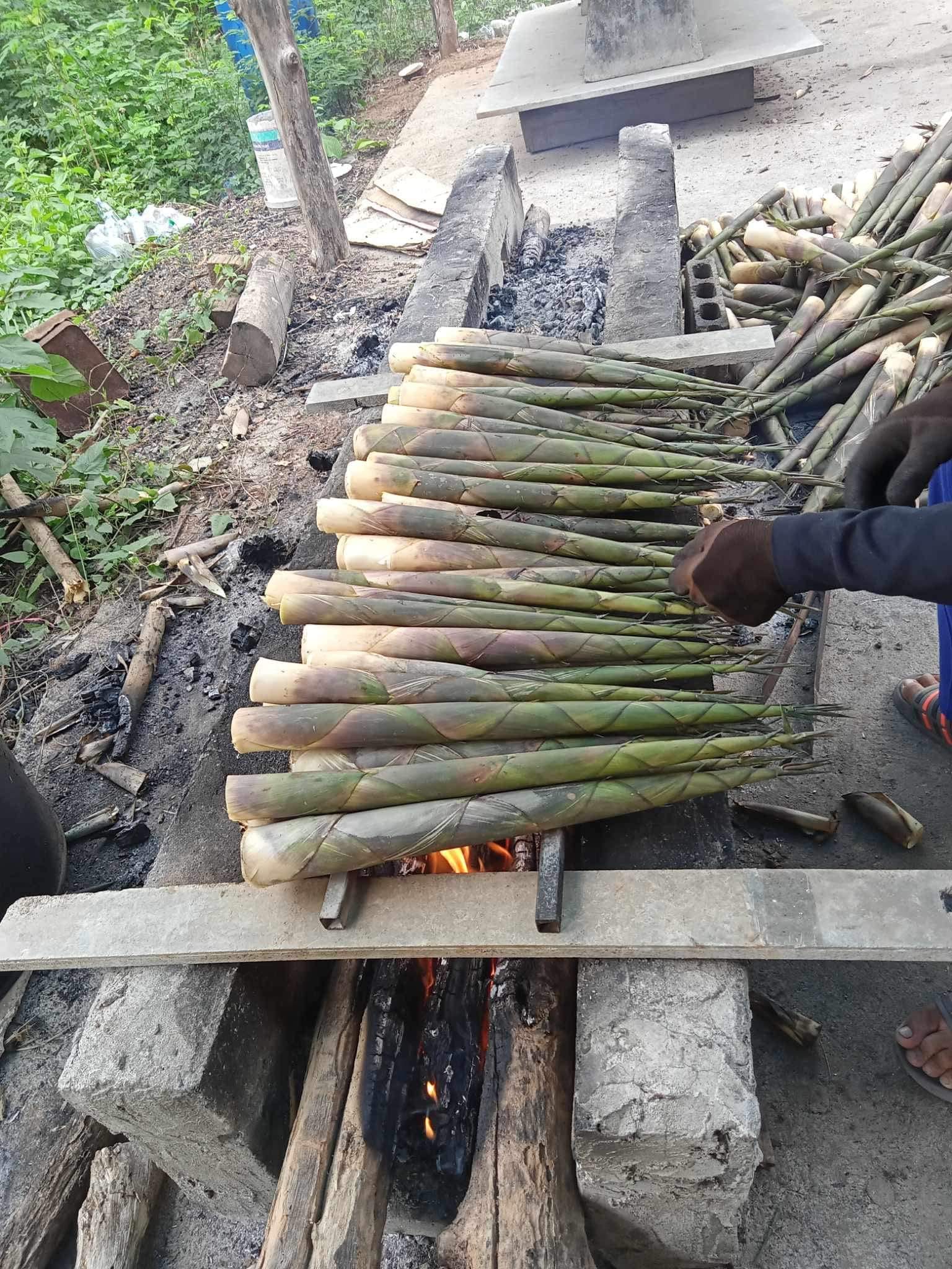 cây giống Tre lụa thái bầu dâm ủ kỹ - măng size nhỏ, dễ chế biến. cây giống Tre lụa thái bầu dâm ủ kỹ - măng size nhỏ, dễ chế biến.