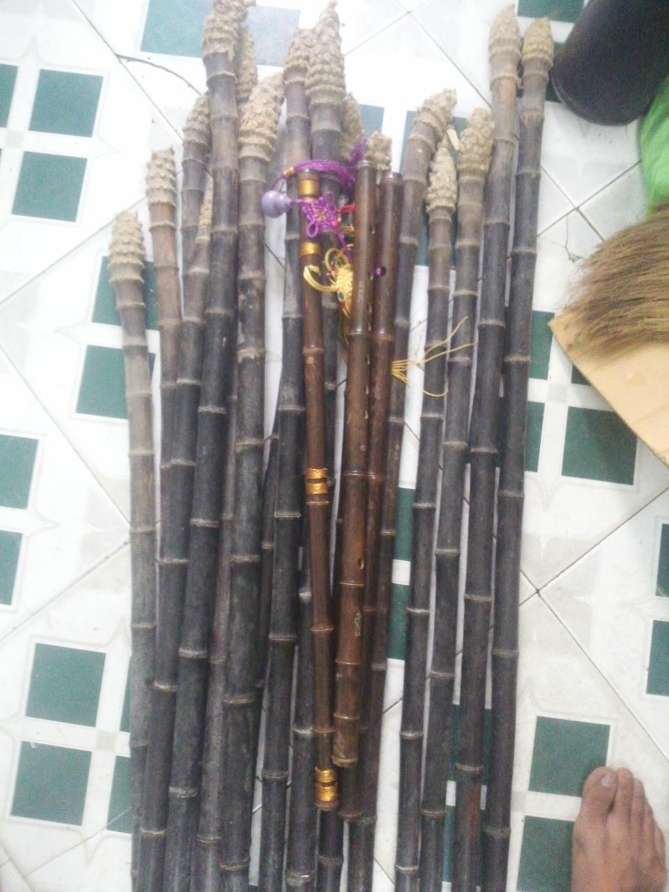 Cây Giống trúc tím- lệ trúc Cây Giống trúc tím- lệ trúc