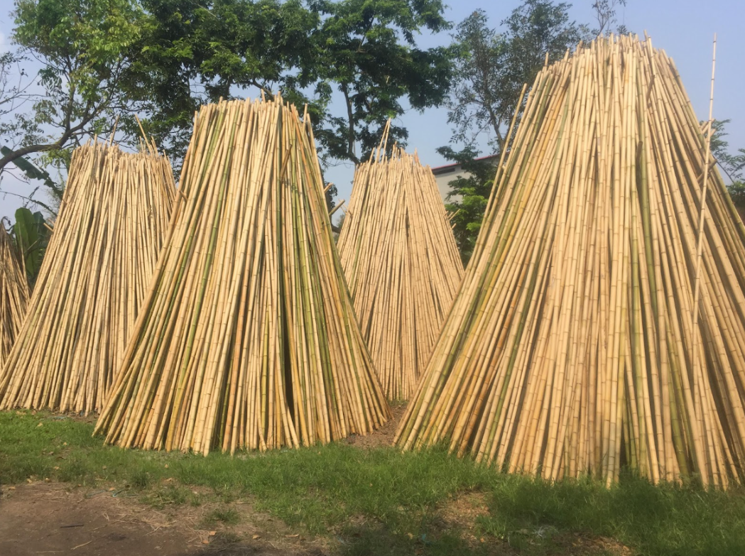 Cây tre khô - Thi công trang trí bằng cây tre khô