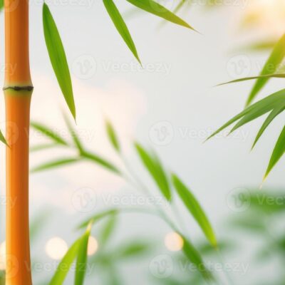 Hạt Giống tre Orange Green Indo - Bambu Orange Green F1 nhập khẩu