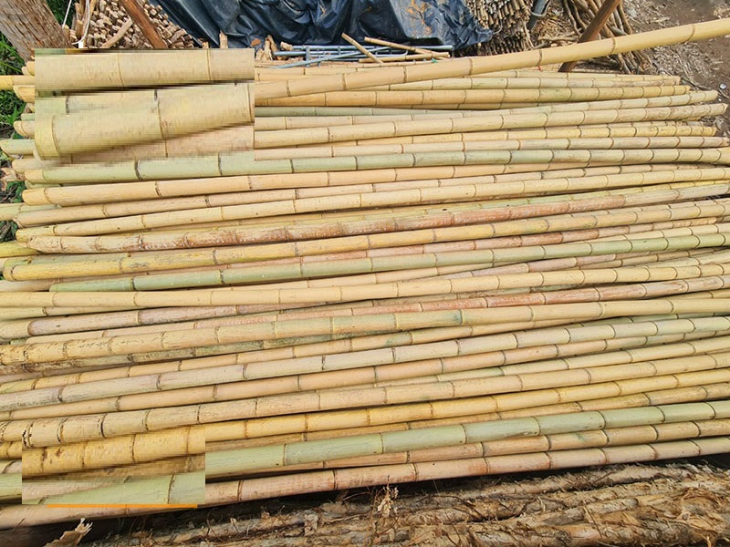 cây tre trúc khô trang trí cây tre trúc khô trang trí