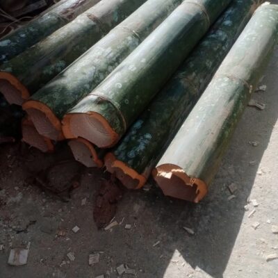 Ống tre, ống trúc, ống nứa , ống vầu nướng cá.