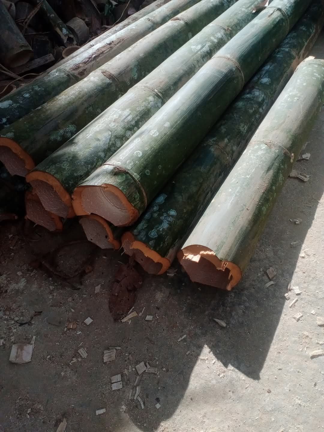 Ống tre, ống trúc, ống nứa , ống vầu nướng cá.