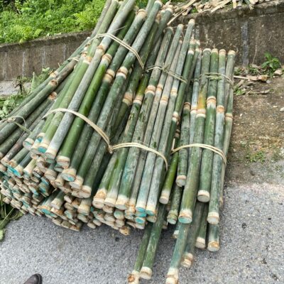 Ống Giang dùng chẻ lạt, gói bánh trưng