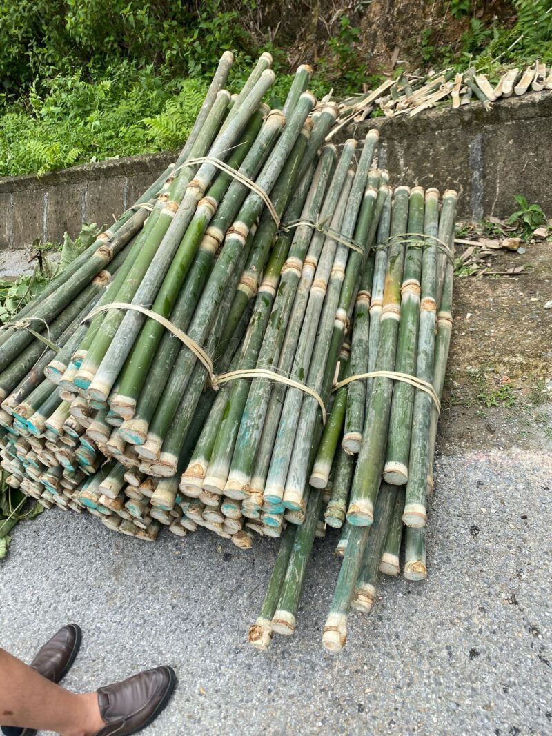 Ống Giang dùng chẻ lạt, gói bánh trưng