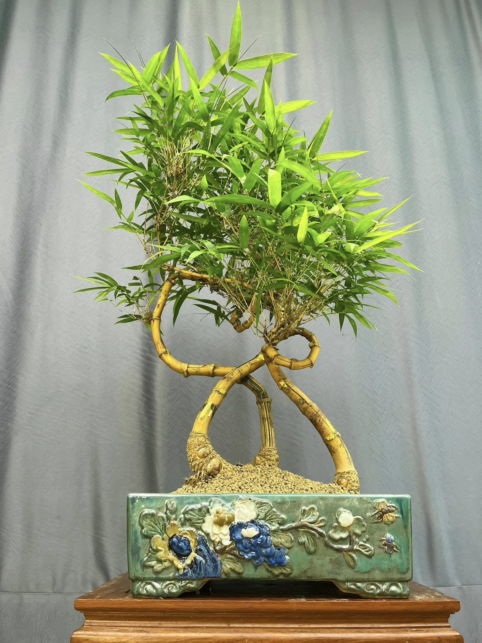 TÁC PHẨM TRE NGÀ BONSAI :  " GIA ĐÌNH LÀ SỐ 1 " NGHỆ THUẬT