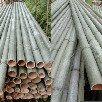 Bè tre - Phương tiện di chuyển hữu ích trên mặt nước