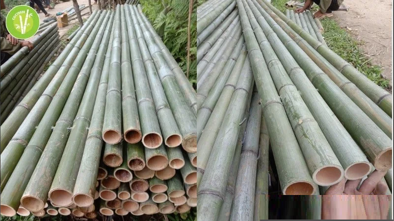 Bè tre - Phương tiện di chuyển hữu ích trên mặt nước Bè tre - Phương tiện di chuyển hữu ích trên mặt nước