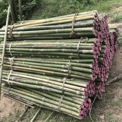 Cán cuốc, cán xẻng bằng tre Giá Rẻ Chất lượng 100%