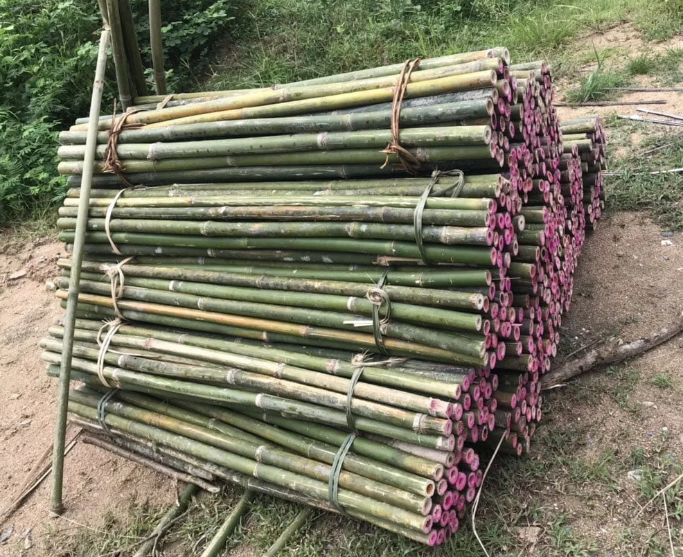 Cán cuốc, cán xẻng bằng tre Giá Rẻ Chất lượng 100% Cán cuốc, cán xẻng bằng tre Giá Rẻ Chất lượng 100%