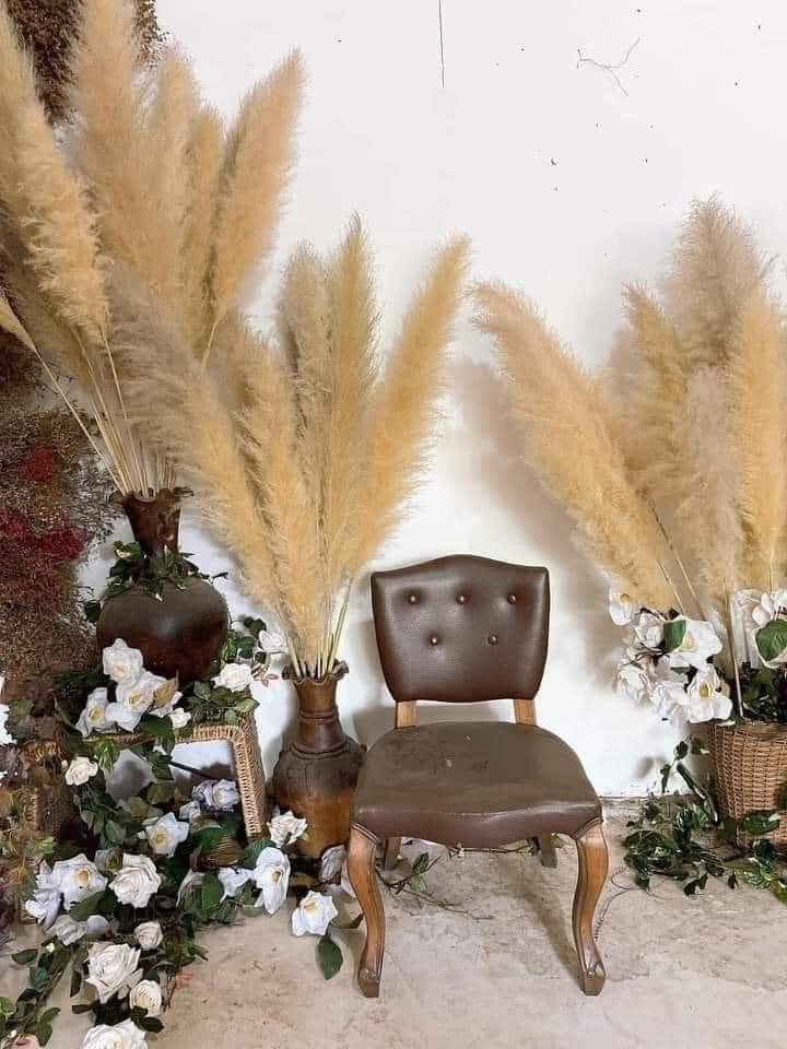 Bông cỏ lau trang trí Bông cỏ lau trang trí