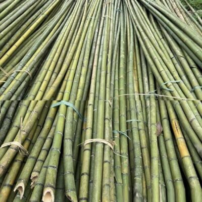 Cọc tre chống cây, đóng cọc nhiều kích thước