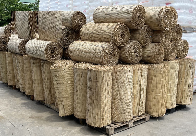 Mê bồ tre Mê bồ tre