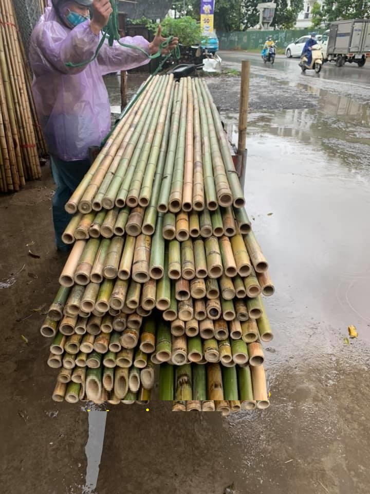 Sạp tre xây dựng,giàn giáo tre Sạp tre xây dựng,giàn giáo tre