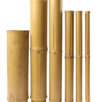 Ống tre nhân tạo