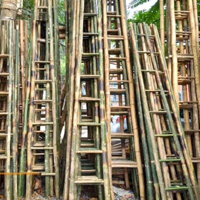 thang tre 3-4-5-6m giá rẻ, chịu lực cao, độ bền tốt