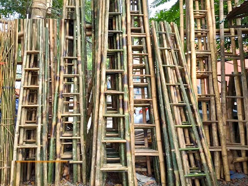 thang tre 3-4-5-6m giá rẻ, chịu lực cao, độ bền tốt thang tre 3-4-5-6m giá rẻ, chịu lực cao, độ bền tốt