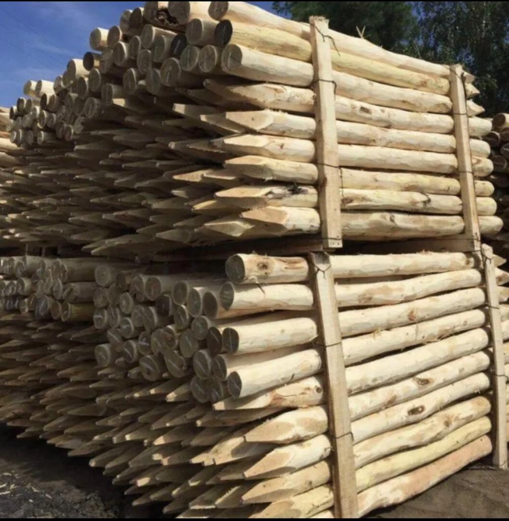 Cọc gỗ tròn vuốt nhọn đường kính 28mm – 40mm chiều dài 50cm dùng đóng cọc làm giàn cây leo, cắm trại, deco trang trí Cọc gỗ tròn vuốt nhọn đường kính 28mm – 40mm chiều dài 50cm dùng đóng cọc làm giàn cây leo, cắm trại, deco trang trí