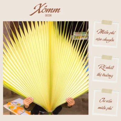 Lá cọ non (nõn cọ), búp cọ cắm hoa , trang trí decor nhà thờ