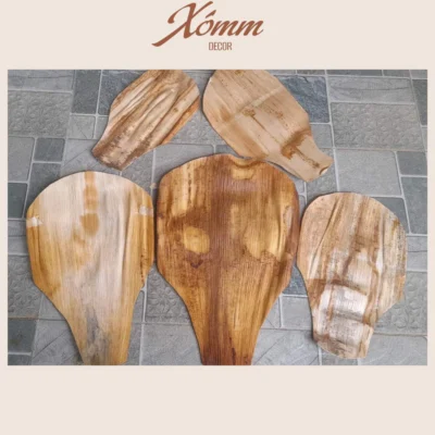 Quạt mo cau tự nhiên trang trí, decor tết, trung thu