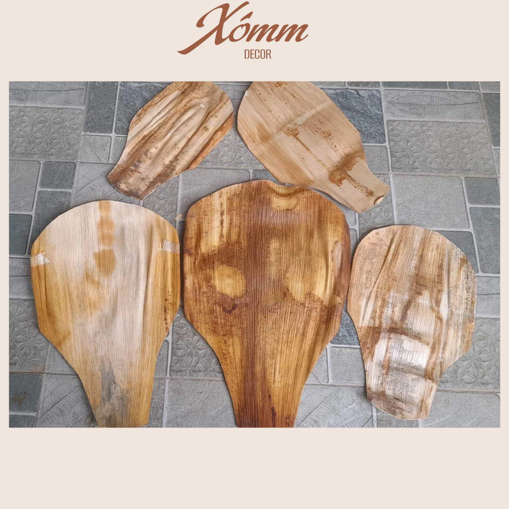 Quạt mo cau tự nhiên trang trí, decor tết, trung thu Quạt mo cau tự nhiên trang trí, decor tết, trung thu