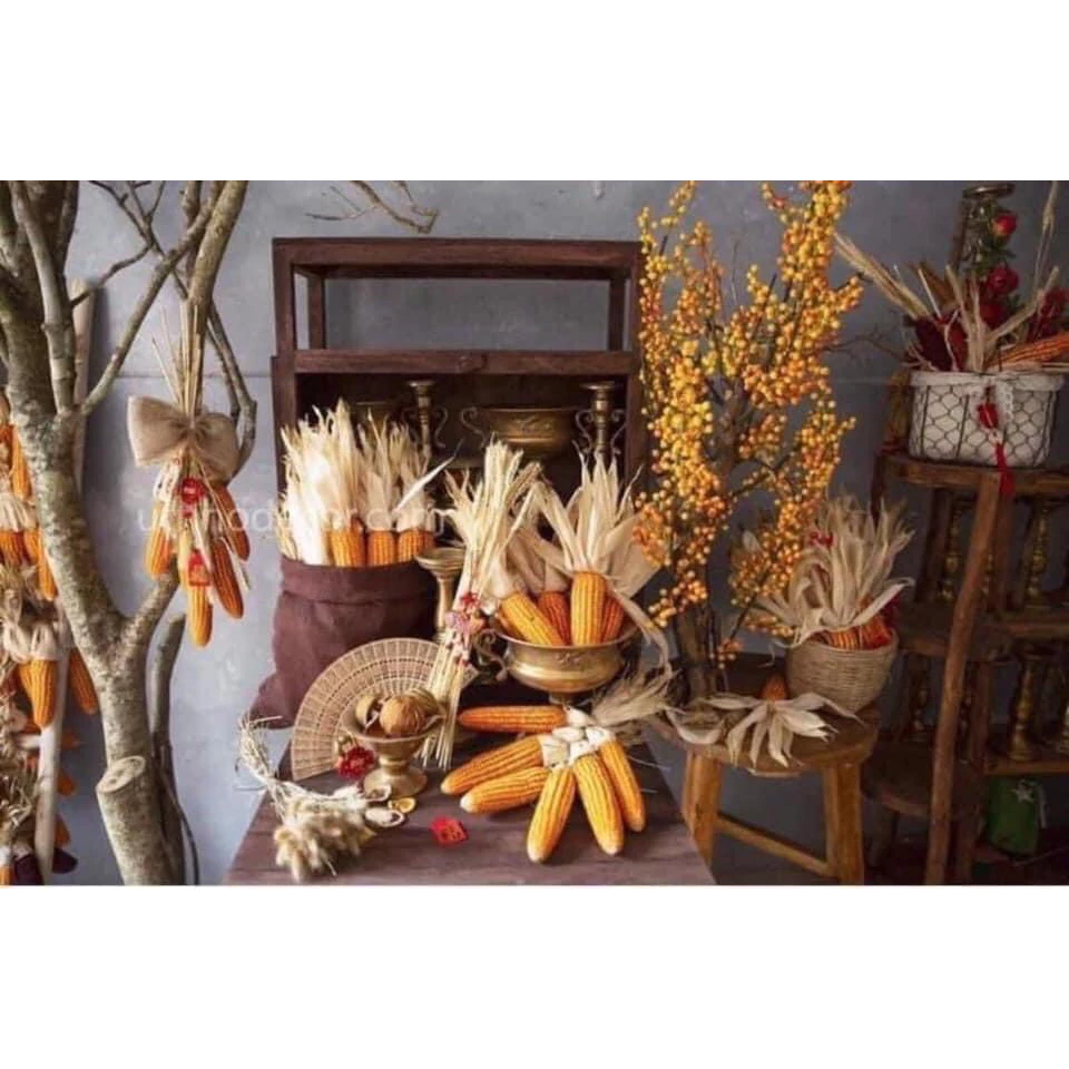 Trái bắp ngô khô loại 1 to đều hạt, dây bắp decor trang trí tết, noel, quán cafe ,nhà cửa Trái bắp ngô khô loại 1 to đều hạt, dây bắp decor trang trí tết, noel, quán cafe ,nhà cửa