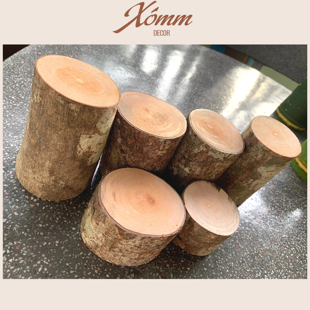 Khúc gỗ tự nhiên trang trí decor đk 3-8cm, dài 5-10cm, củi khô trang trí giáng sinh, góc học tập Khúc gỗ tự nhiên trang trí decor đk 3-8cm, dài 5-10cm, củi khô trang trí giáng sinh, góc học tập