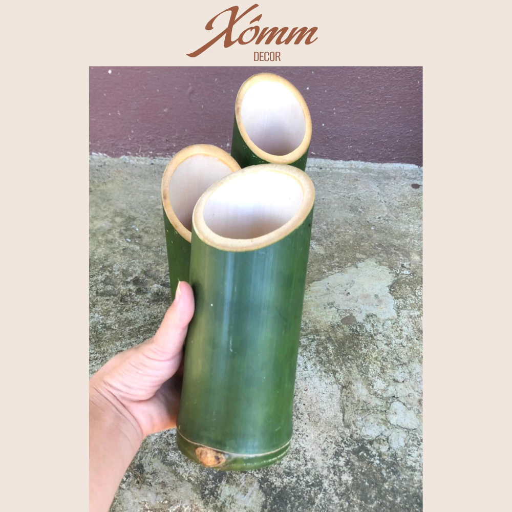 ống tre cắt vát chéo trang trí decor , ống tre, cốc tre cắm hoa ống tre cắt vát chéo trang trí decor , ống tre, cốc tre cắm hoa
