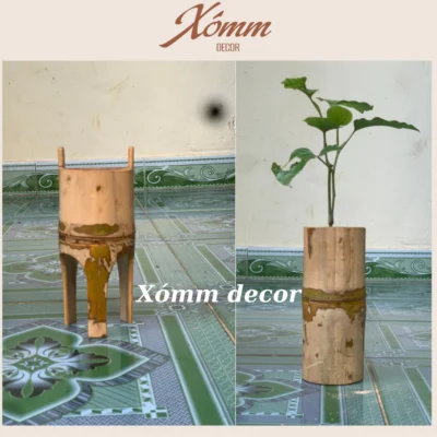 Ống tre tự nhiên trồng cây, sen đá, tiểu cảnh , decor trang trí vintage, chậu tre, khúc tre, cốc tre trồng cây