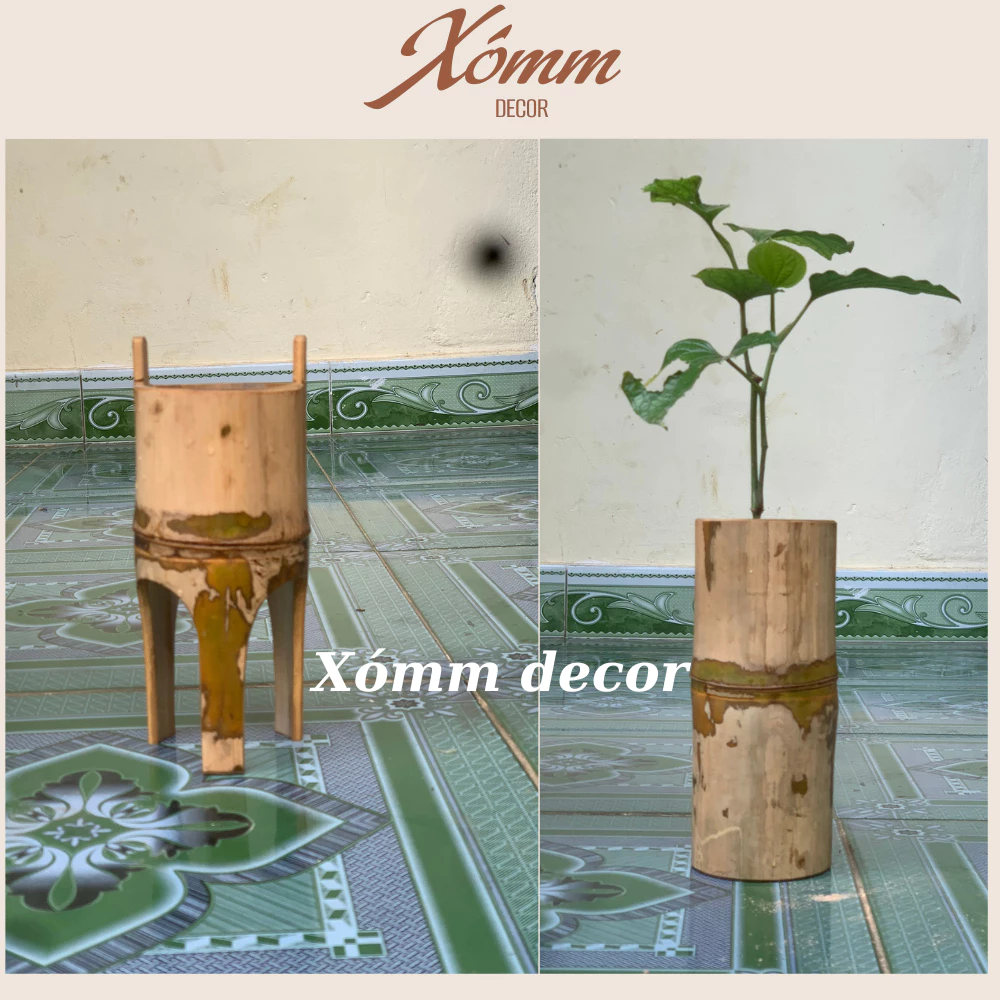 Ống tre tự nhiên trồng cây, sen đá, tiểu cảnh , decor trang trí vintage, chậu tre, khúc tre, cốc tre trồng cây