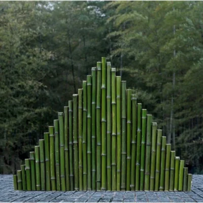 Thanh tre, cây tre trang trí decor ,làm hàng rào tre, ống tre cắm hoa , đủ kích thước