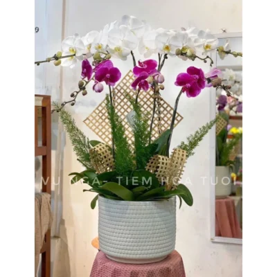 Phụ kiện cắm hoa, Combo 10 nan tre đan thưa dài decor, trang trí tạo hình giỏ hoa, lan hồ điệp