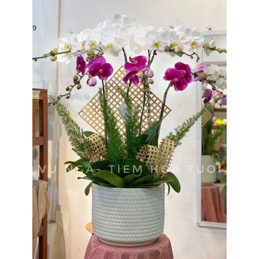 Phụ kiện cắm hoa, Combo 10 nan tre đan thưa dài decor, trang trí tạo hình giỏ hoa, lan hồ điệp Phụ kiện cắm hoa, Combo 10 nan tre đan thưa dài decor, trang trí tạo hình giỏ hoa, lan hồ điệp